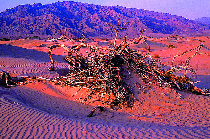 zur Übersicht USA Nationalparks III