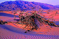 Death Valley