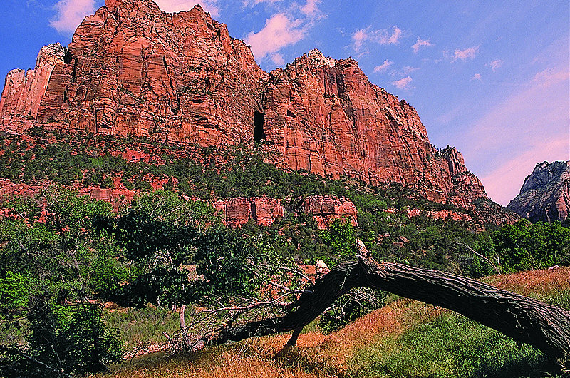 zur Übersicht USA Nationalparks III