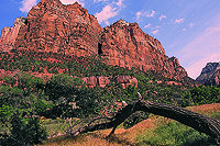 Zion N. P.