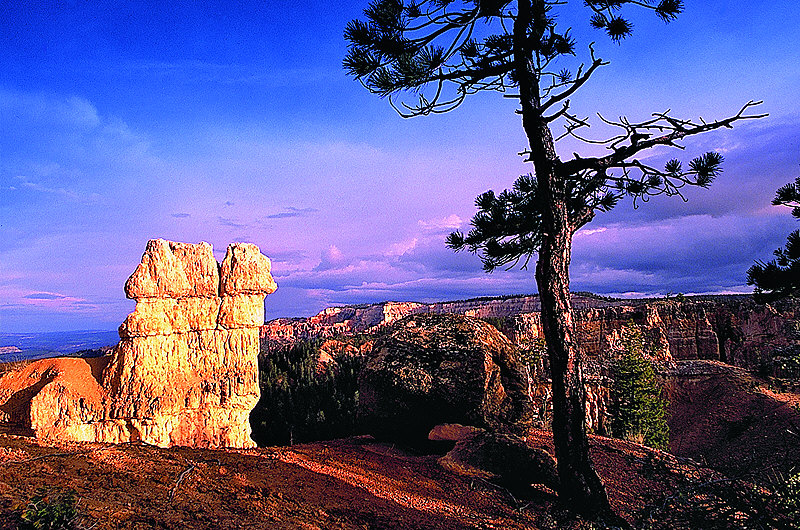 zur Übersicht USA Nationalparks III