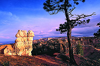 Bryce Canyon