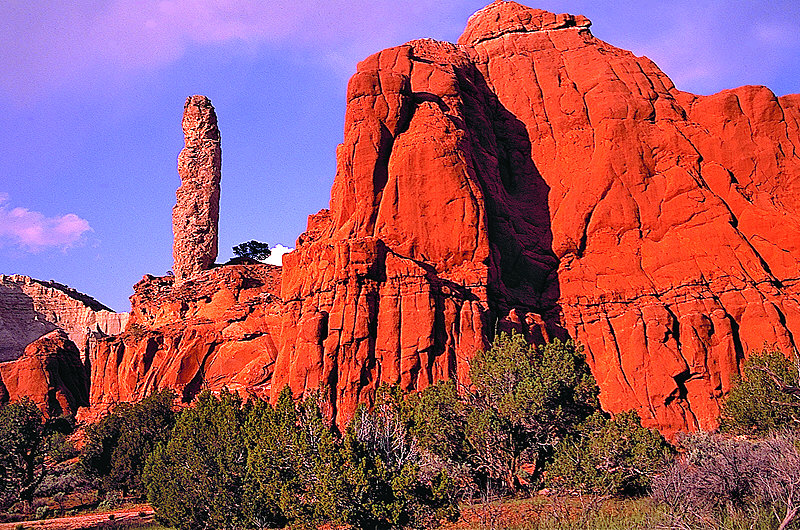 zur Übersicht USA Nationalparks III