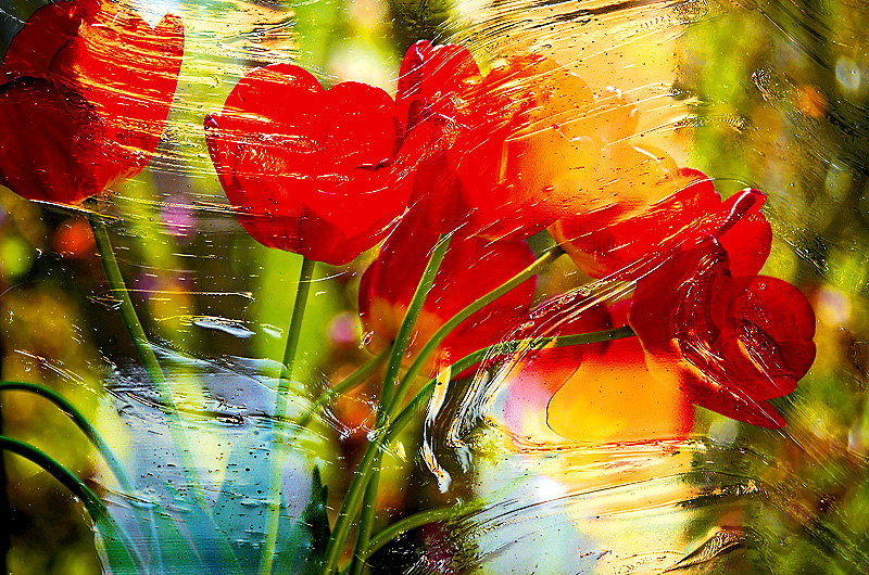 zur Übersicht Visionen 1