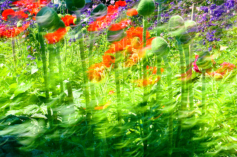 zur Übersicht Visionen 1