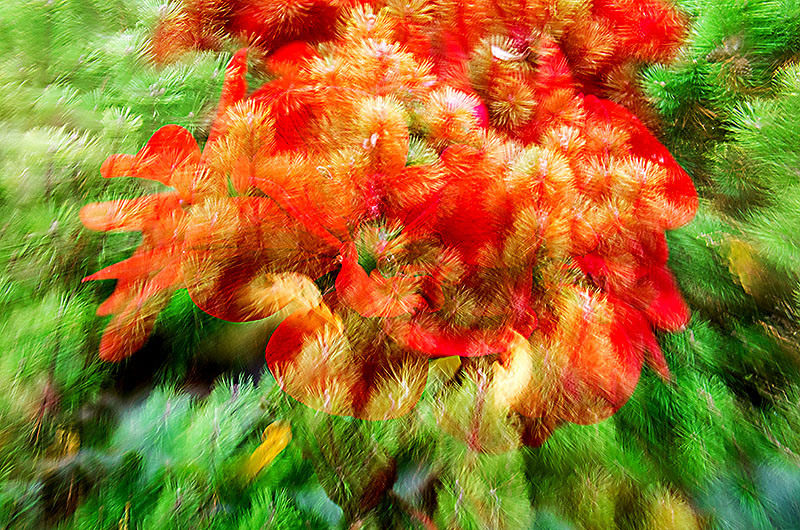 zur Übersicht Visionen 1