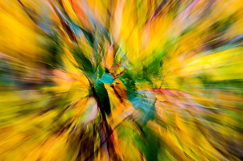 zur Übersicht Visionen 1