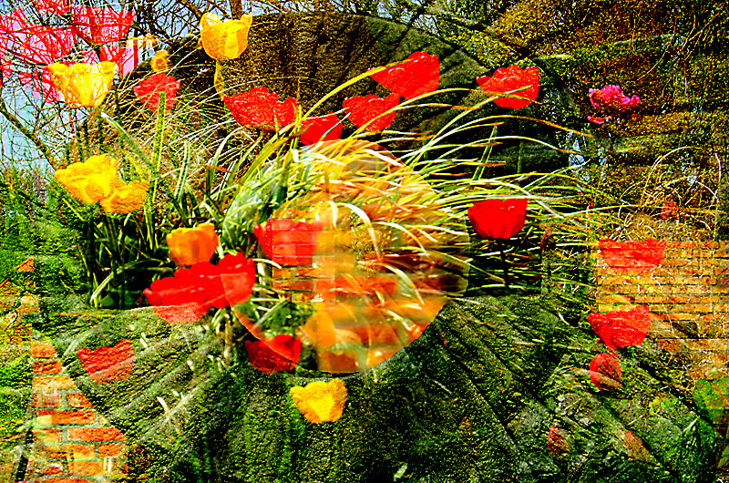 zur Übersicht Visionen 1