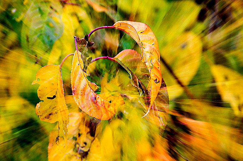 zur Übersicht Visionen 1
