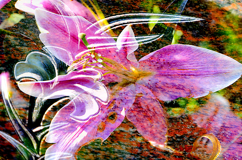 zur Übersicht Visionen 1