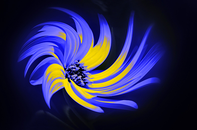 zur Übersicht Visionen 2