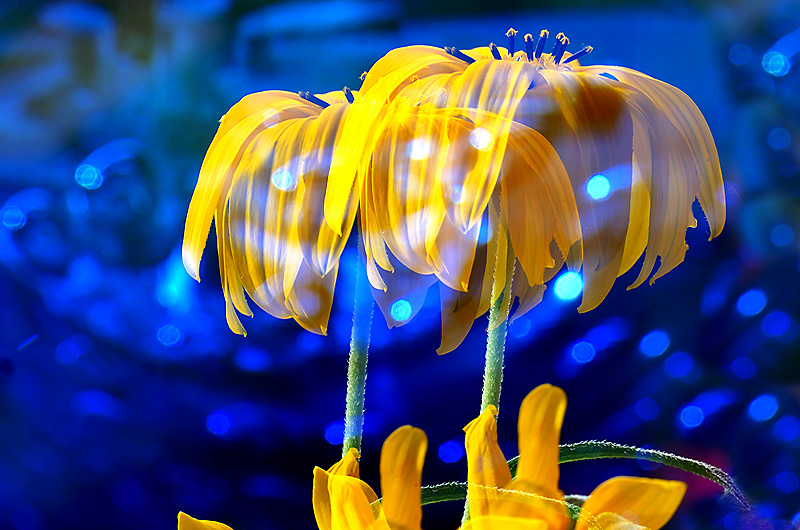 zur Übersicht Visionen 2