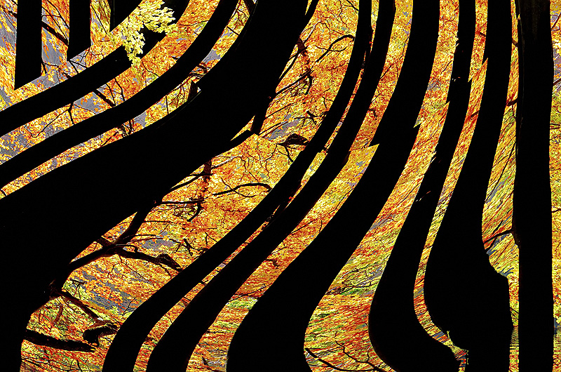 zur Übersicht Visionen 3