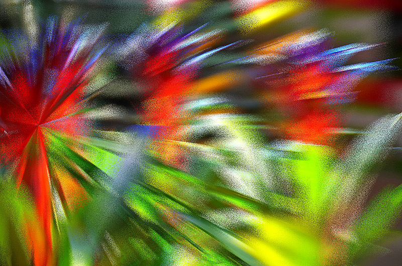 zur Übersicht Visionen 4