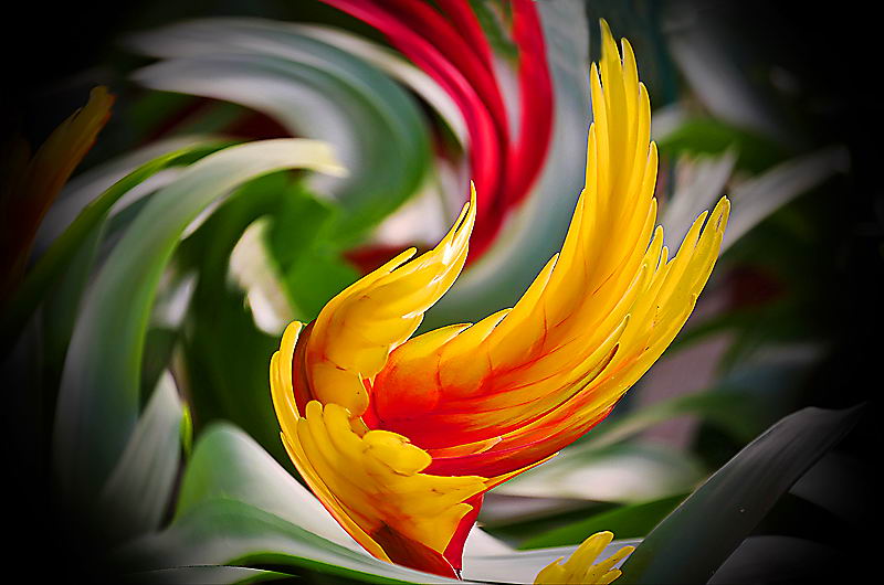 zur Übersicht Visionen 5