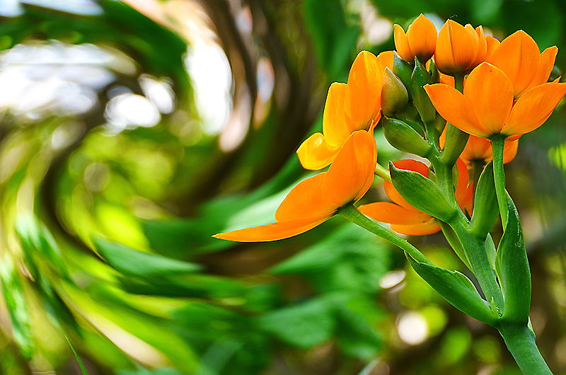 zur Übersicht Visionen 5