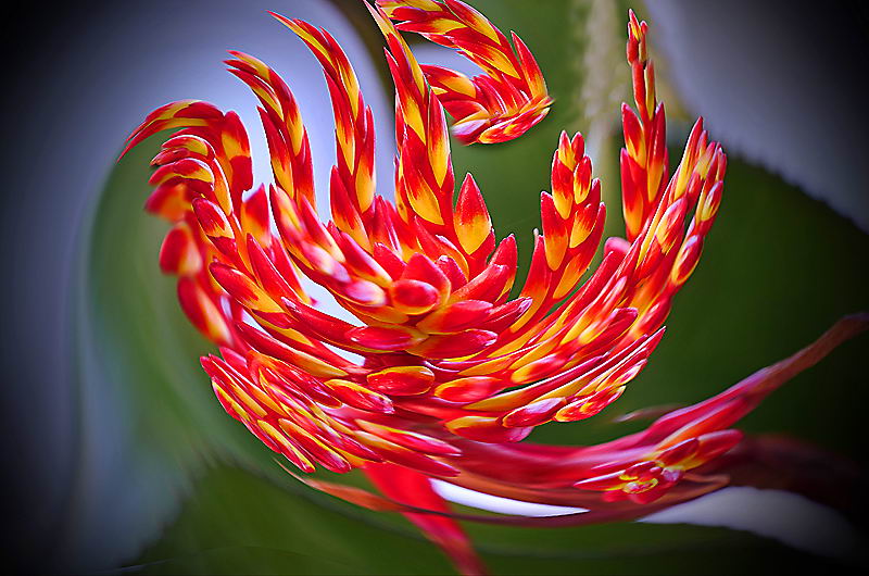 zur Übersicht Visionen 5