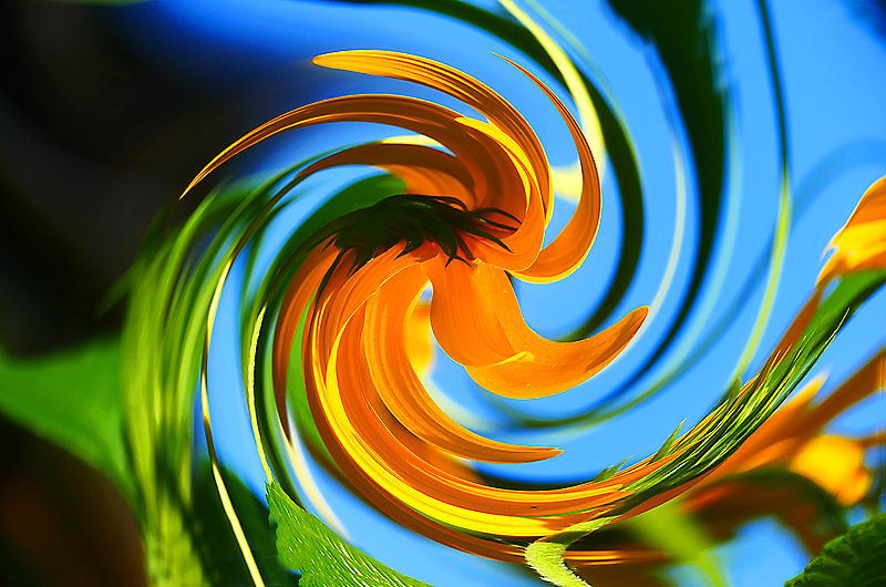 zur Übersicht Visionen 5