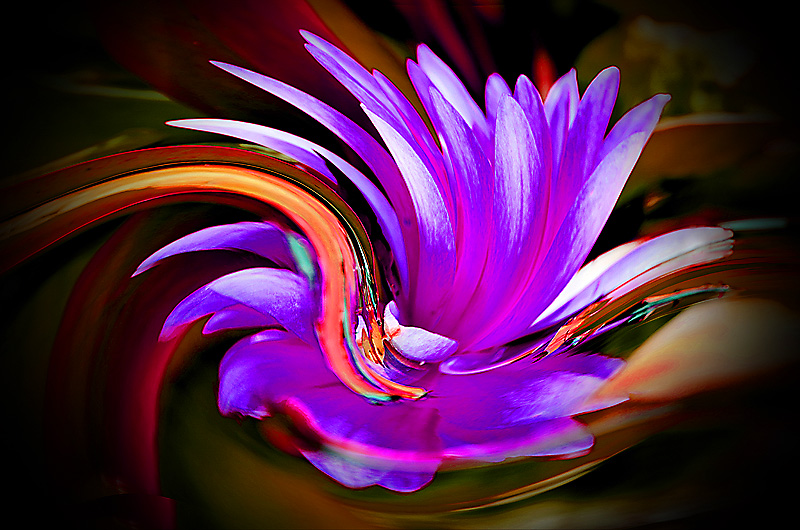 zur Übersicht Visionen 5