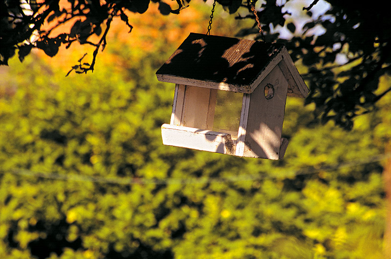 zur Übersicht Vogelhäuschen I