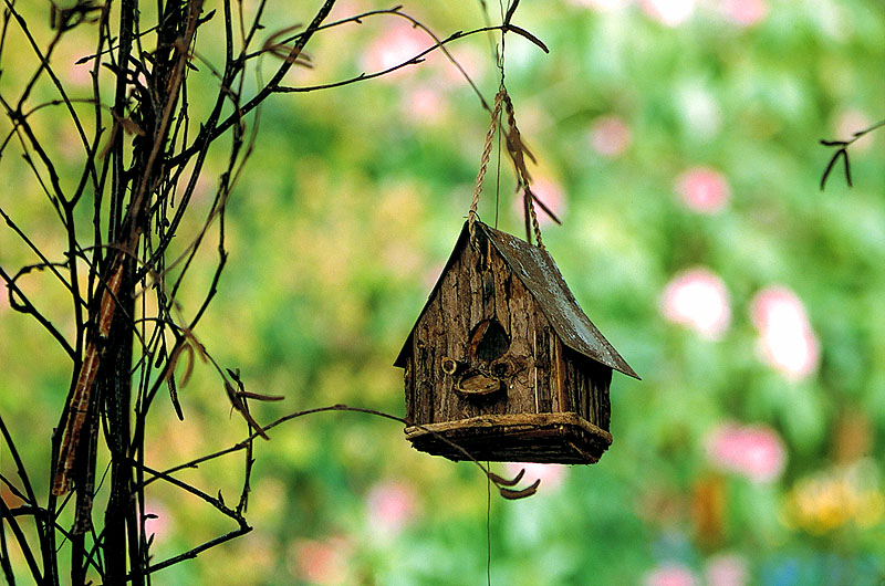 zur Übersicht Vogelhäuschen I