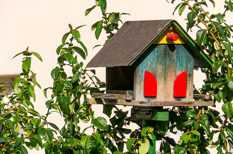 zur Übersicht Vogelhäuschen 3