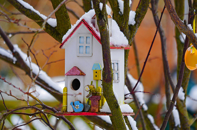 zur Übersicht Vogelhäuschen 3
