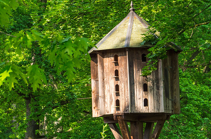 zur Übersicht Vogelhäuschen 4