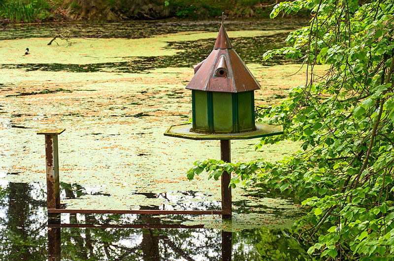 zur Übersicht Vogelhäuschen 4