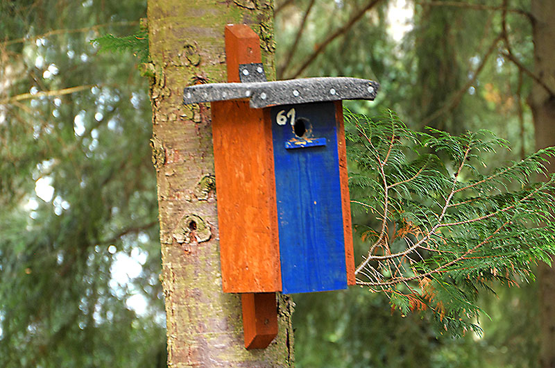 zur Übersicht Vogelhäuschen 4