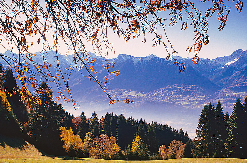 zur Übersicht Vorarlberg