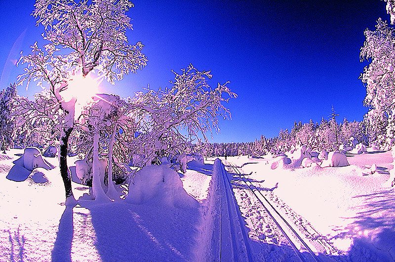 zur Übersicht Vorarlberg