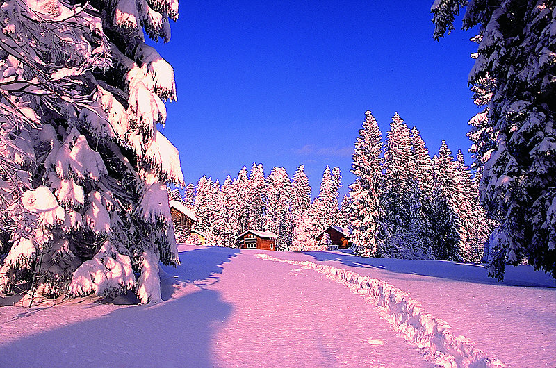 zur Übersicht Vorarlberg