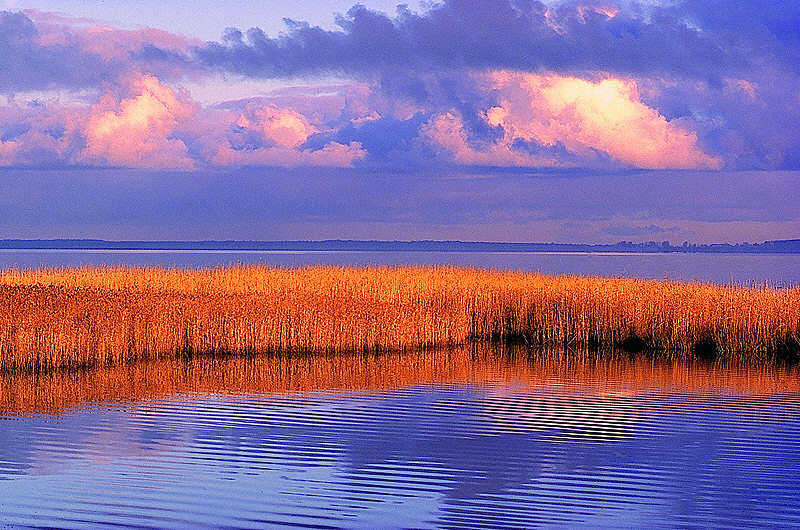 zur Übersicht Wasser II