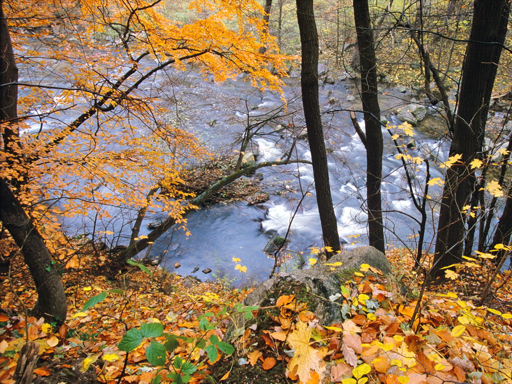 zur Übersicht Wasser 13