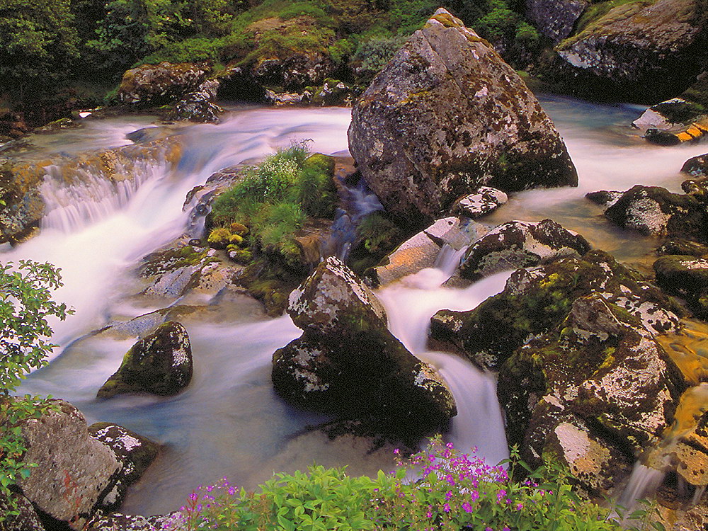 zur Übersicht Wasser 13