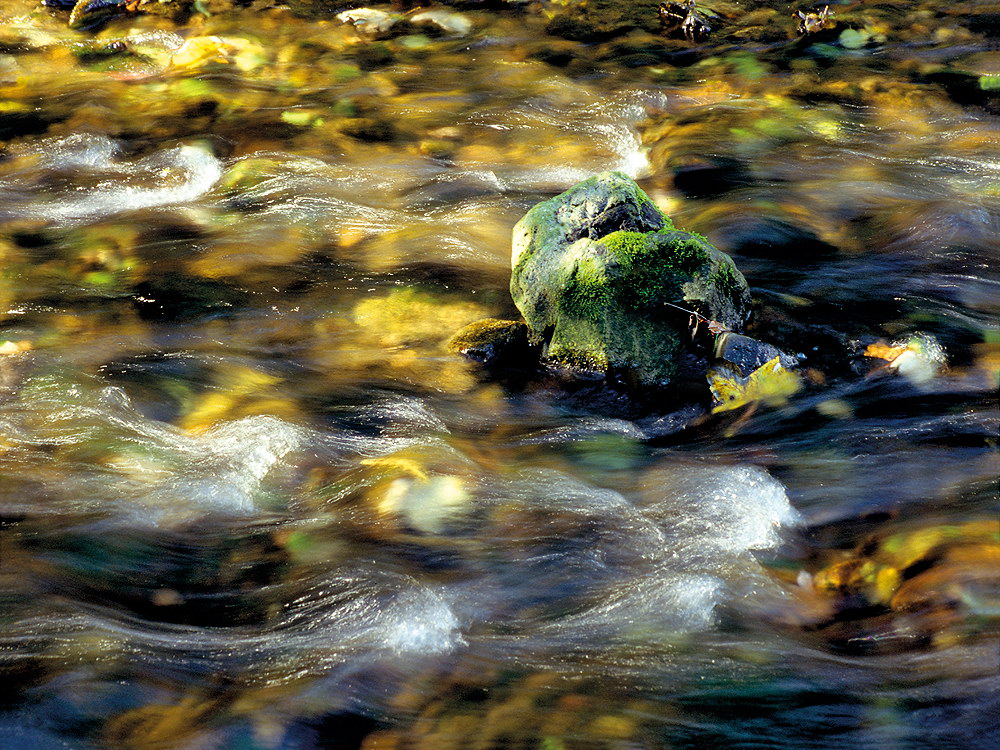 zur Übersicht Wasser 13