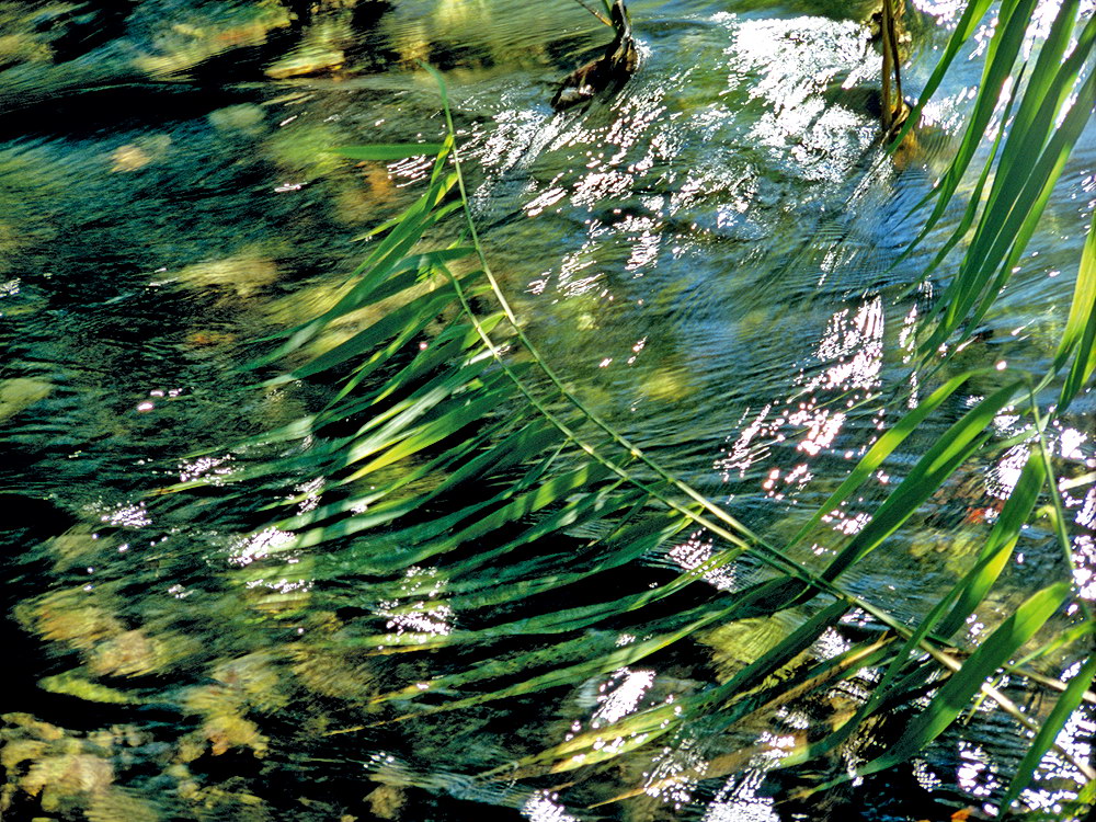zur Übersicht Wasser 13