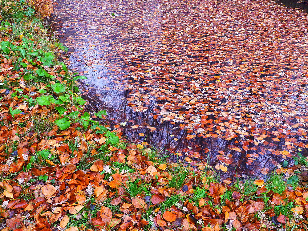 zur Übersicht Wasser 13