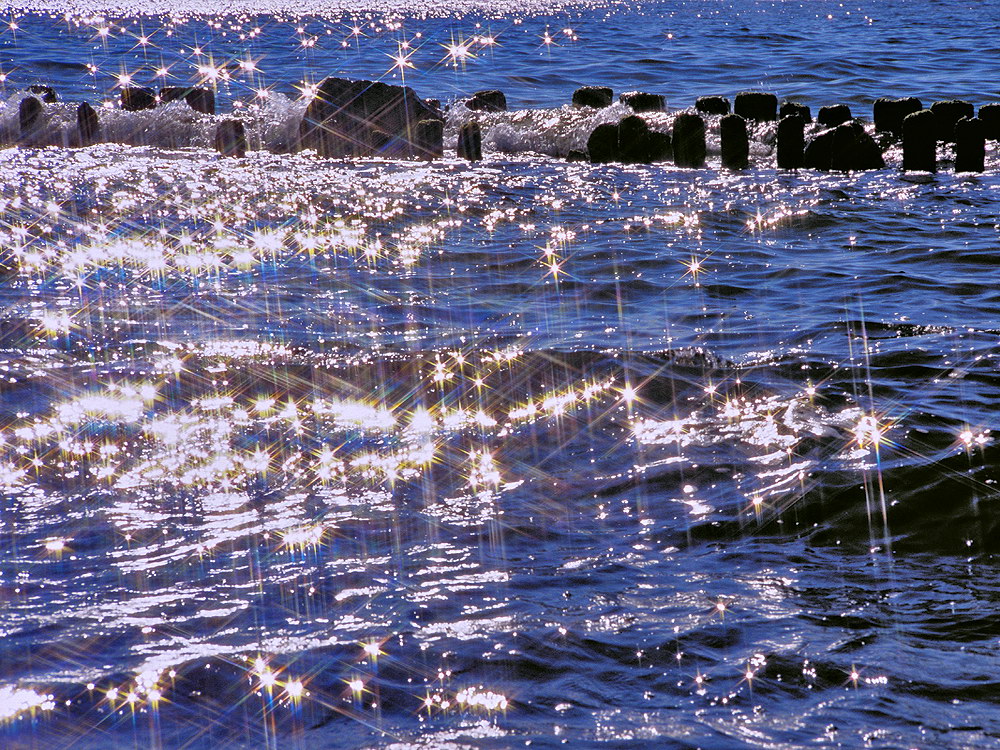 zur Übersicht Wasser 14