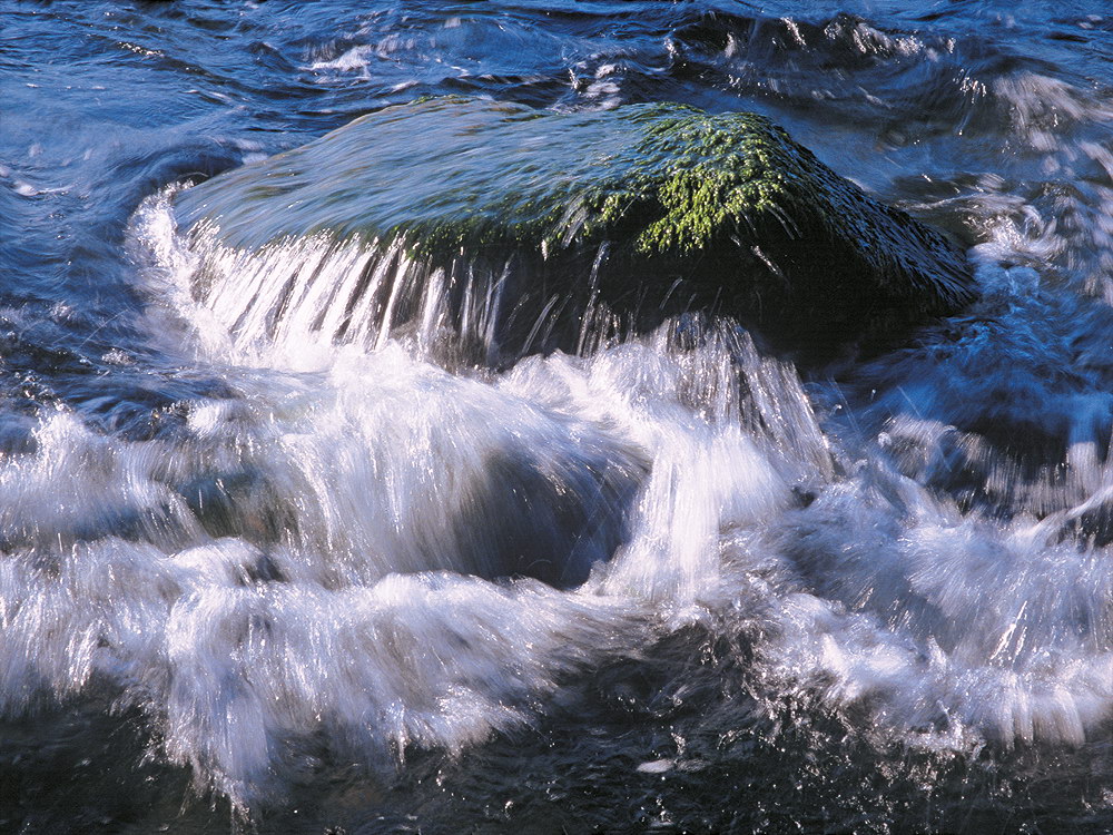 zur Übersicht Wasser 14