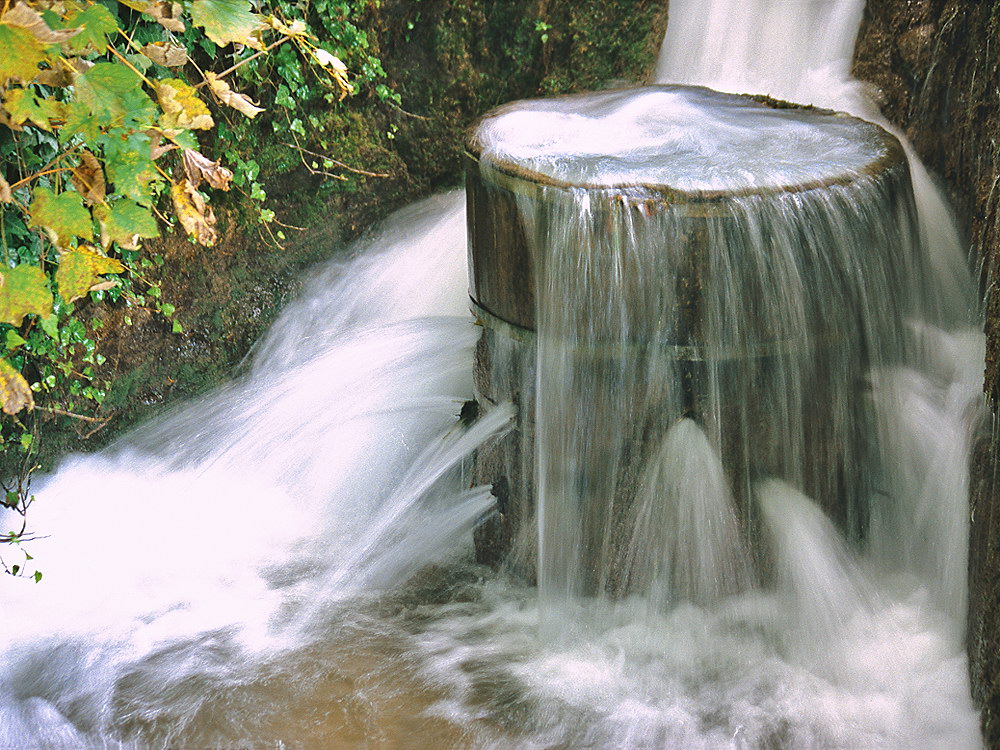 zur Übersicht Wasser 14