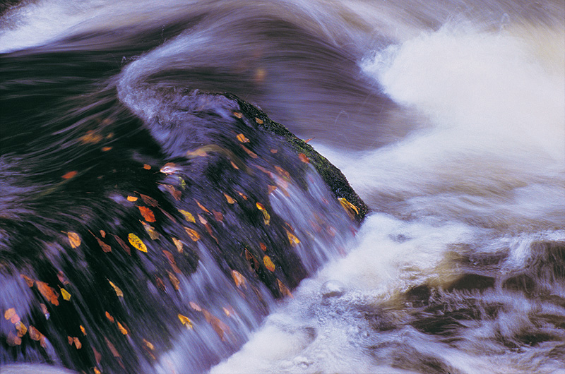 zur Übersicht Wasser II