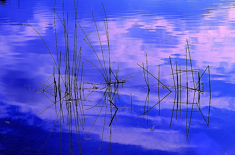 zur Übersicht Wasser II