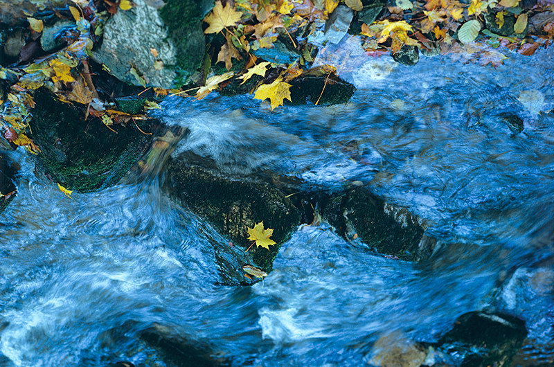zur Übersicht Wasser 8