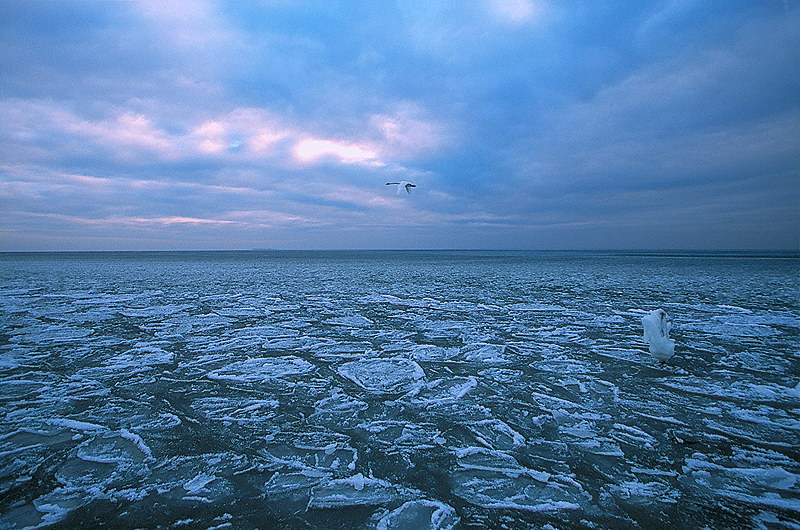 zur Übersicht Wasser 10