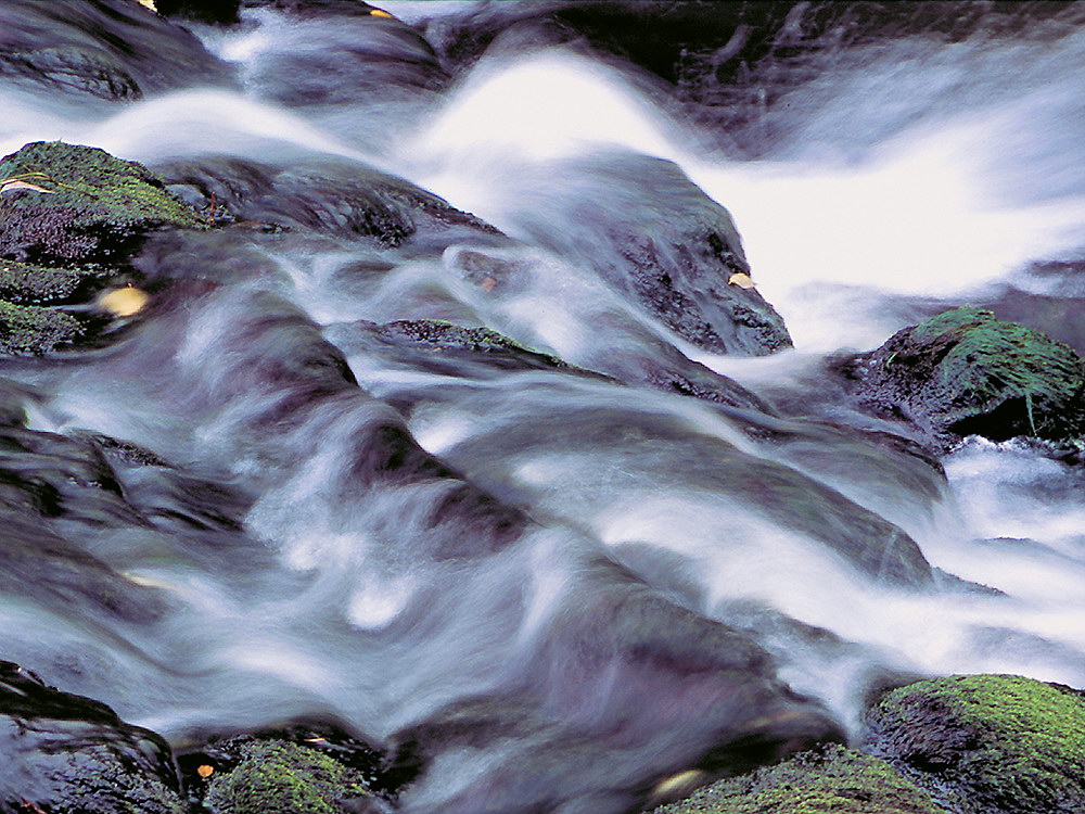 zur Übersicht Wasser 11