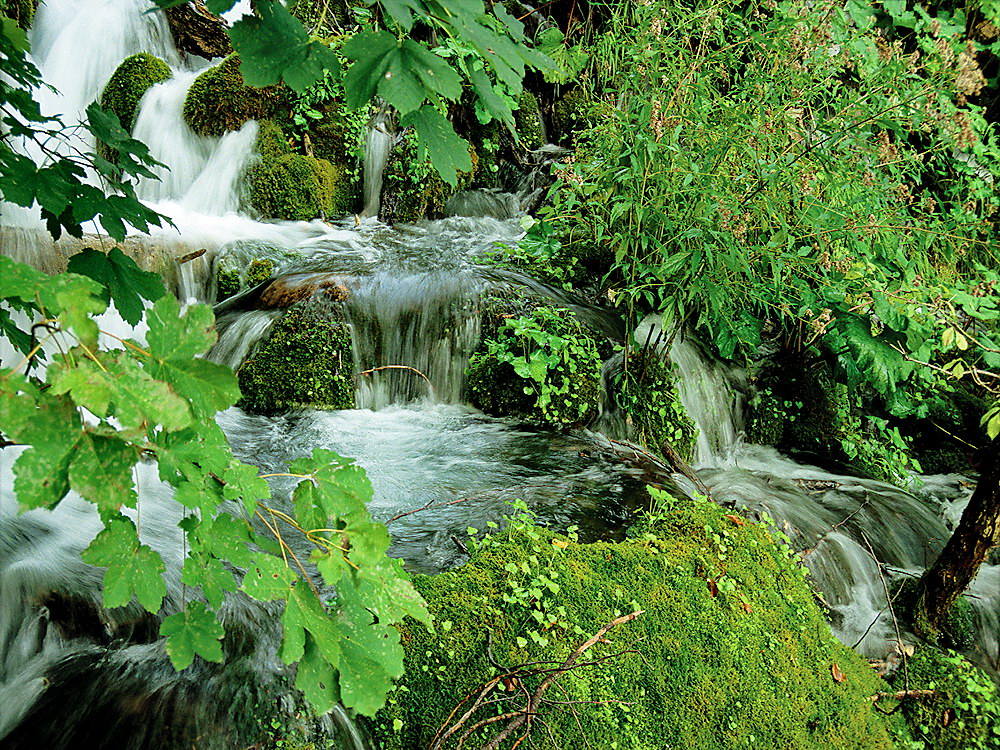 zur Übersicht Wasser 11