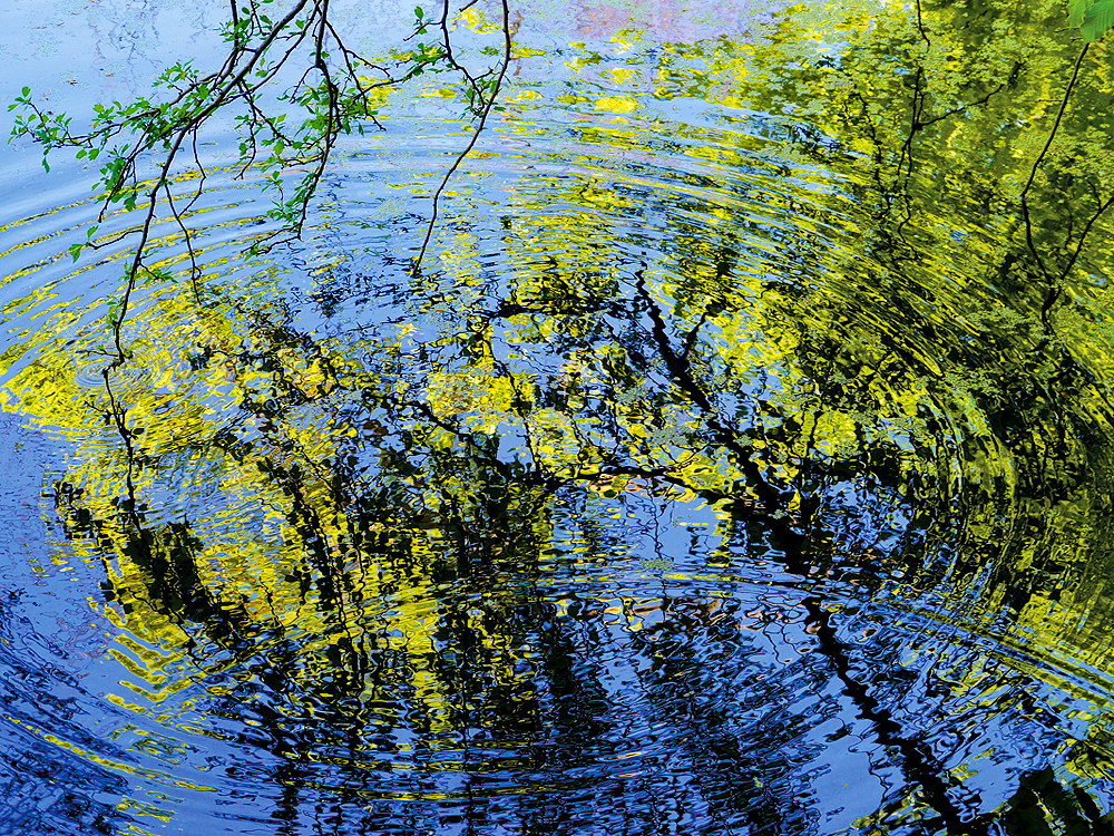 zur Übersicht Wasser 11