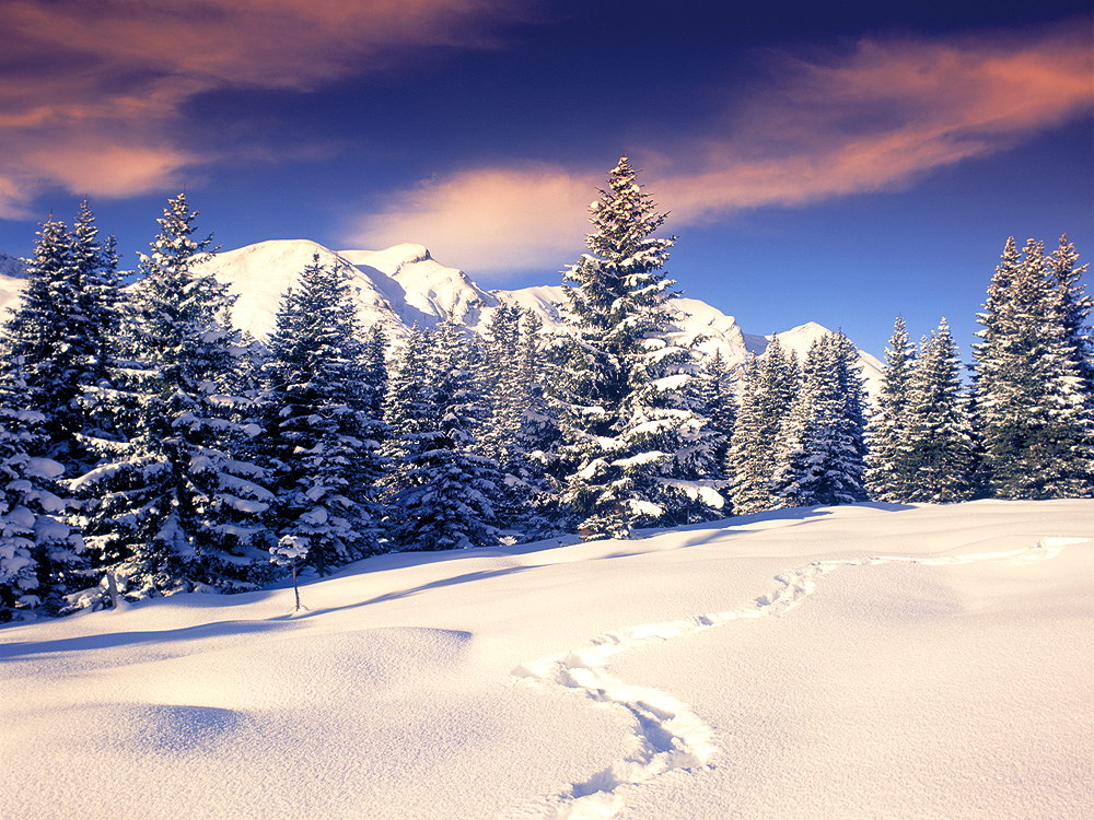 zur &Uuml;bersicht Spuren 2 